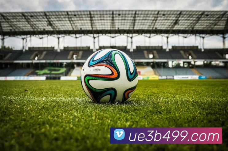 华体会平台生态图